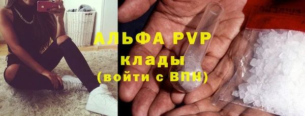 прущие крисы Елабуга
