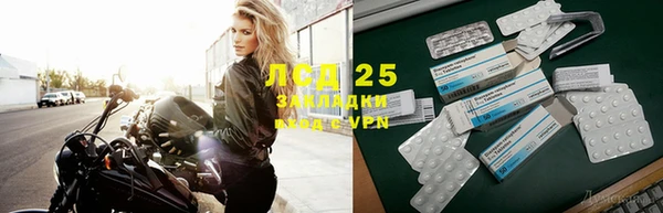 дмт Инсар