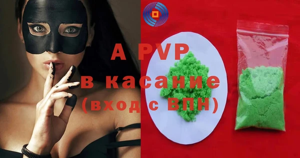 дмт Инсар