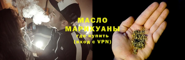 дмт Инсар