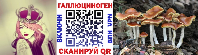 Псилоцибиновые грибы MAGIC MUSHROOMS  наркошоп  Кохма 