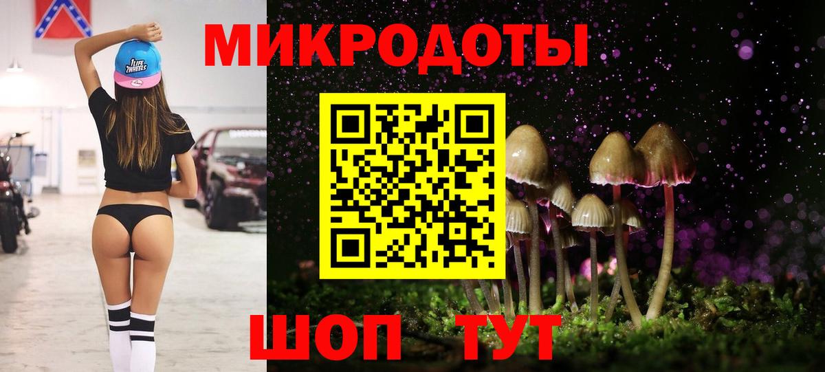 Псилоцибиновые грибы Psilocybe Кохма