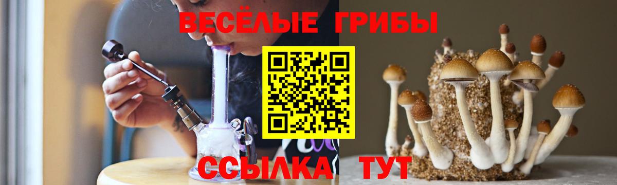 Кохма  Псилоцибиновые грибы GOLDEN TEACHER  Вход с VPN  сколько стоит  Галлюциногенные грибы Psilocybe 