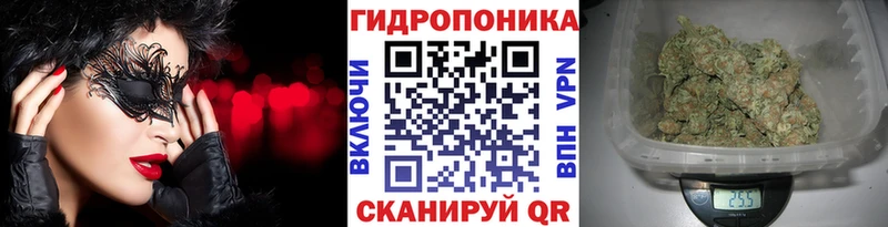 Марихуана White Widow гидра ссылки Кохма